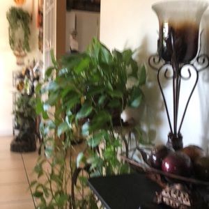 Meet your Posher, Anabel